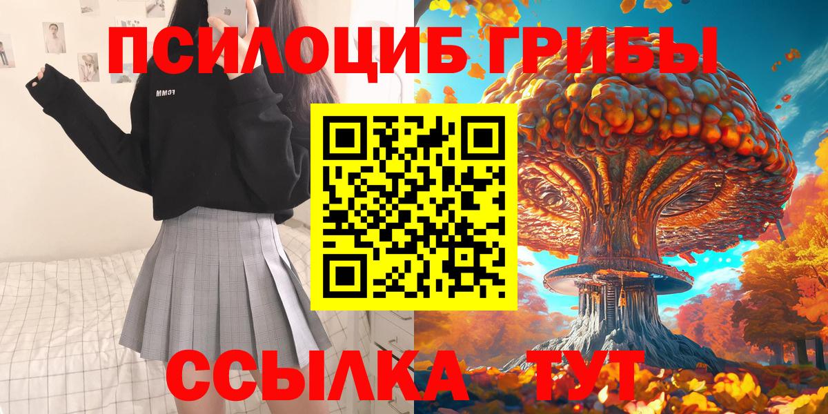 Галлюциногенные грибы Cubensis  Вход с VPN  Псилоцибиновые грибы прущие грибы  Мичуринск 
